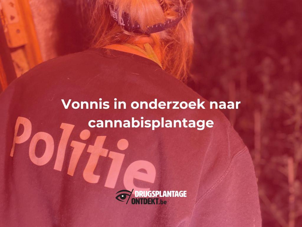 Poppel - Vonnis in onderzoek naar cannabisplantage